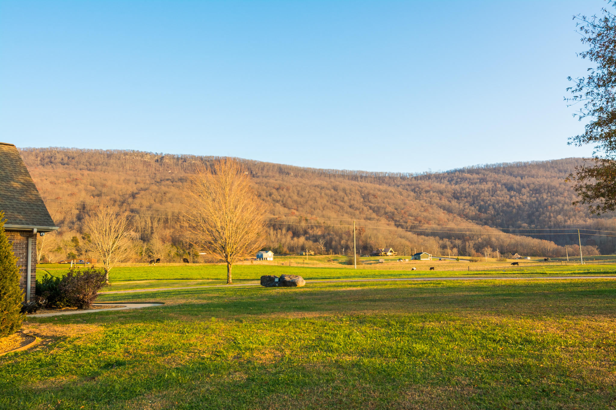 1122 Kell Loop Dunlap, TN 37327 - Photo 65 of 70 View 3