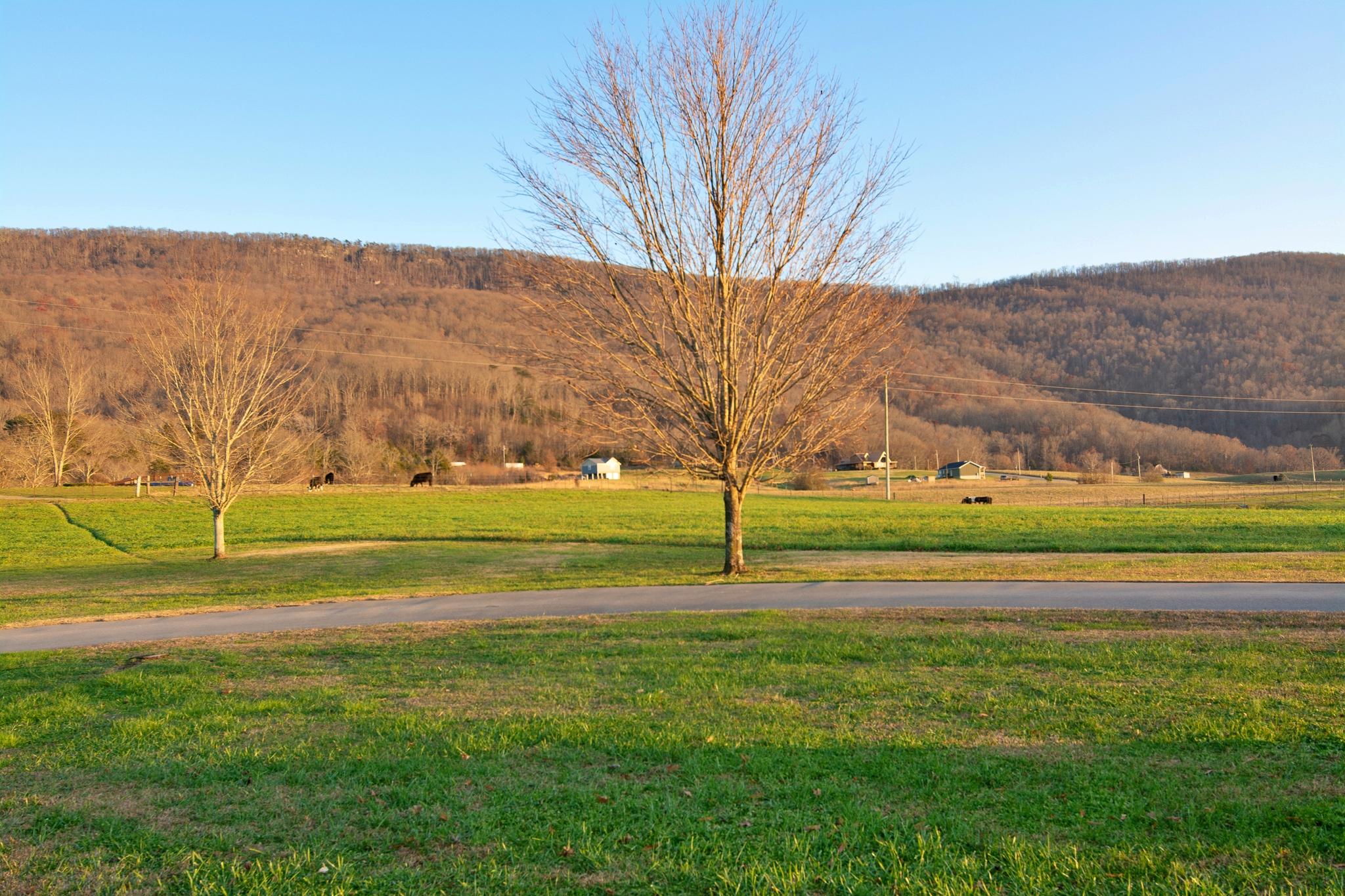 1122 Kell Loop Dunlap, TN 37327 - Photo 68 of 70 View 7