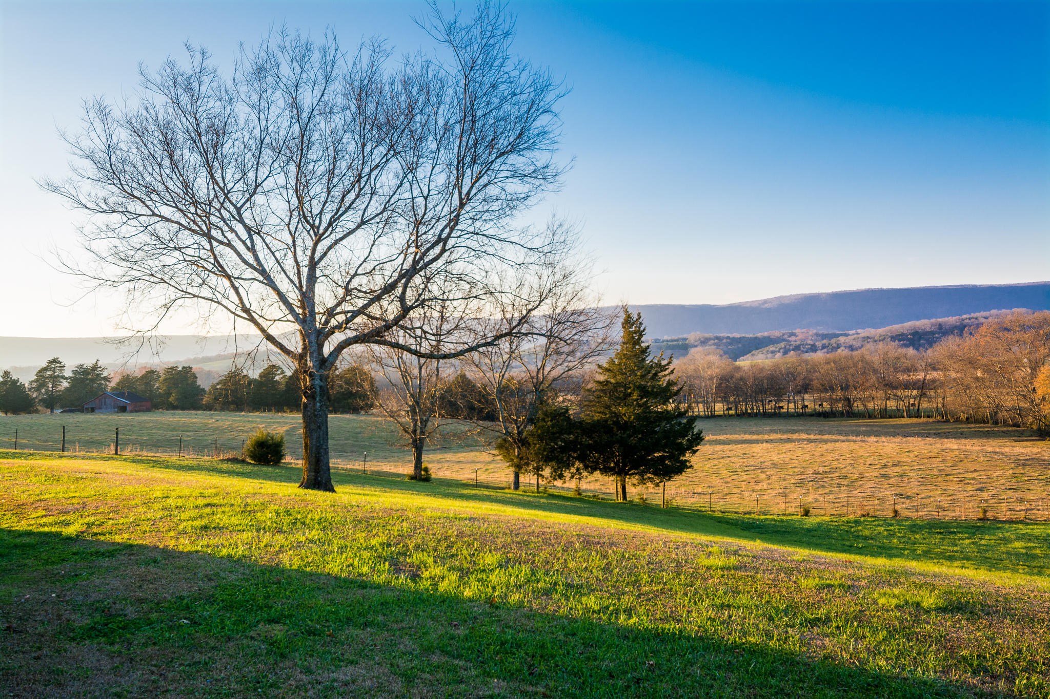 1122 Kell Loop Dunlap, TN 37327 - Photo 69 of 70 View