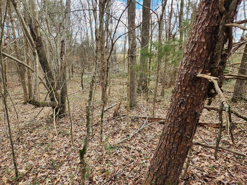 867 Carter Road, Unit 2 Cumberland, VA 23040 - Photo 55 of 57 Gallery Image 55