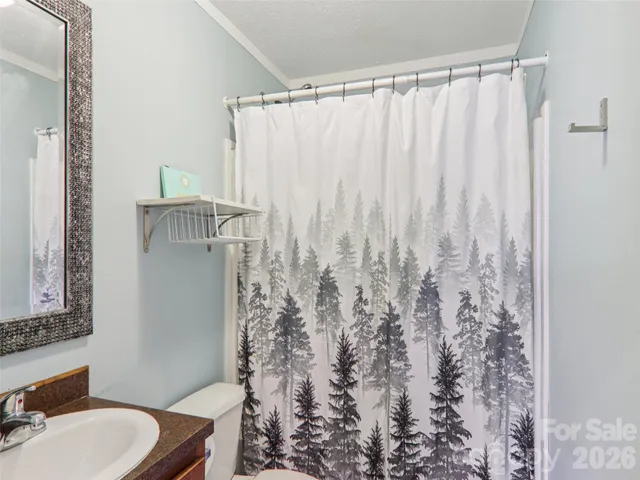 a bathroom with a toilet and shower curtain