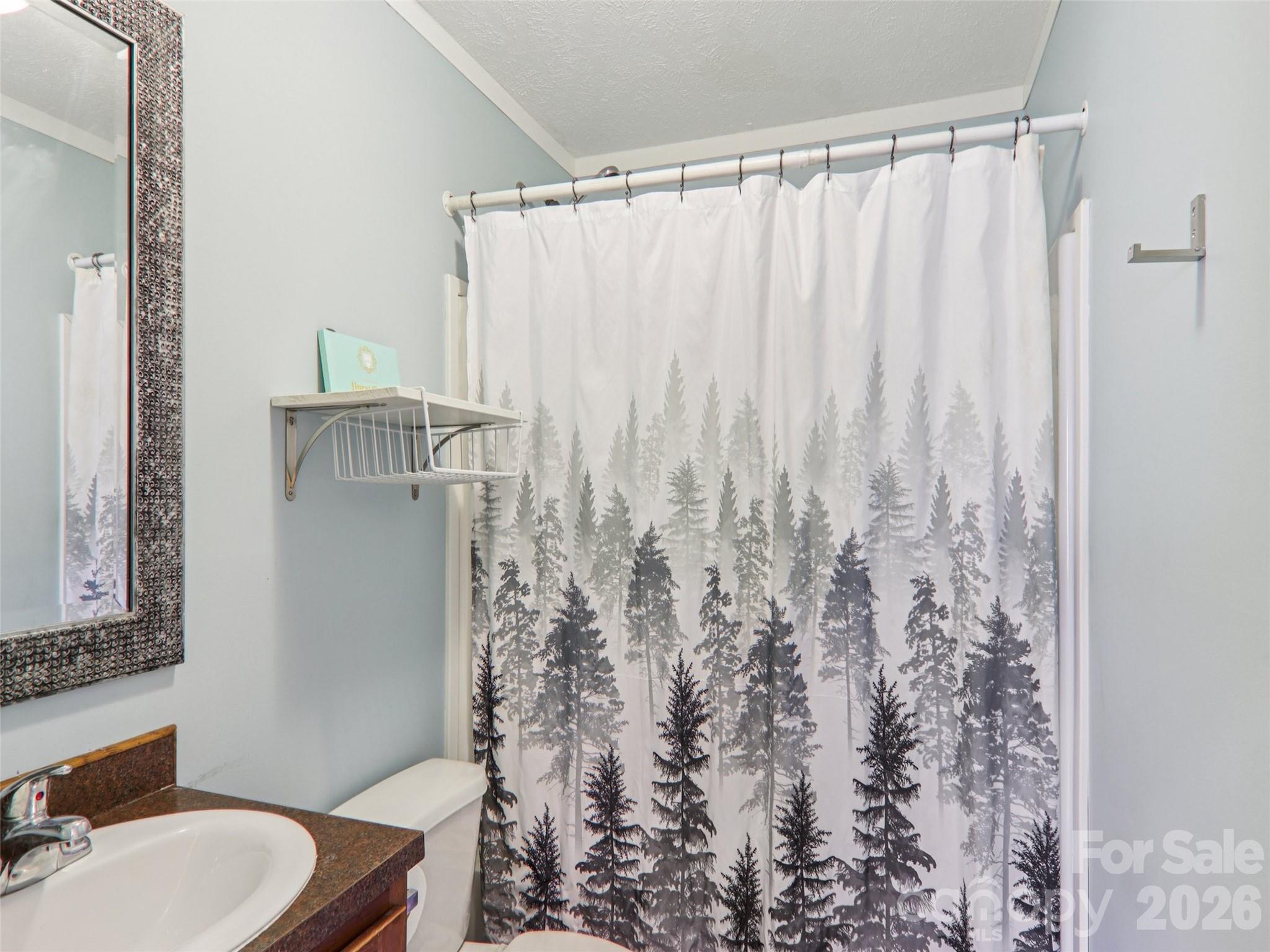 3195 North Clear Creek Road Hendersonville, NC 28792 - Photo 14 of 21 a bathroom with a toilet and shower curtain