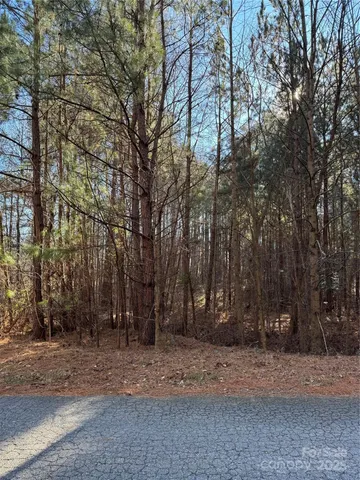 a view of a backyard with large trees
