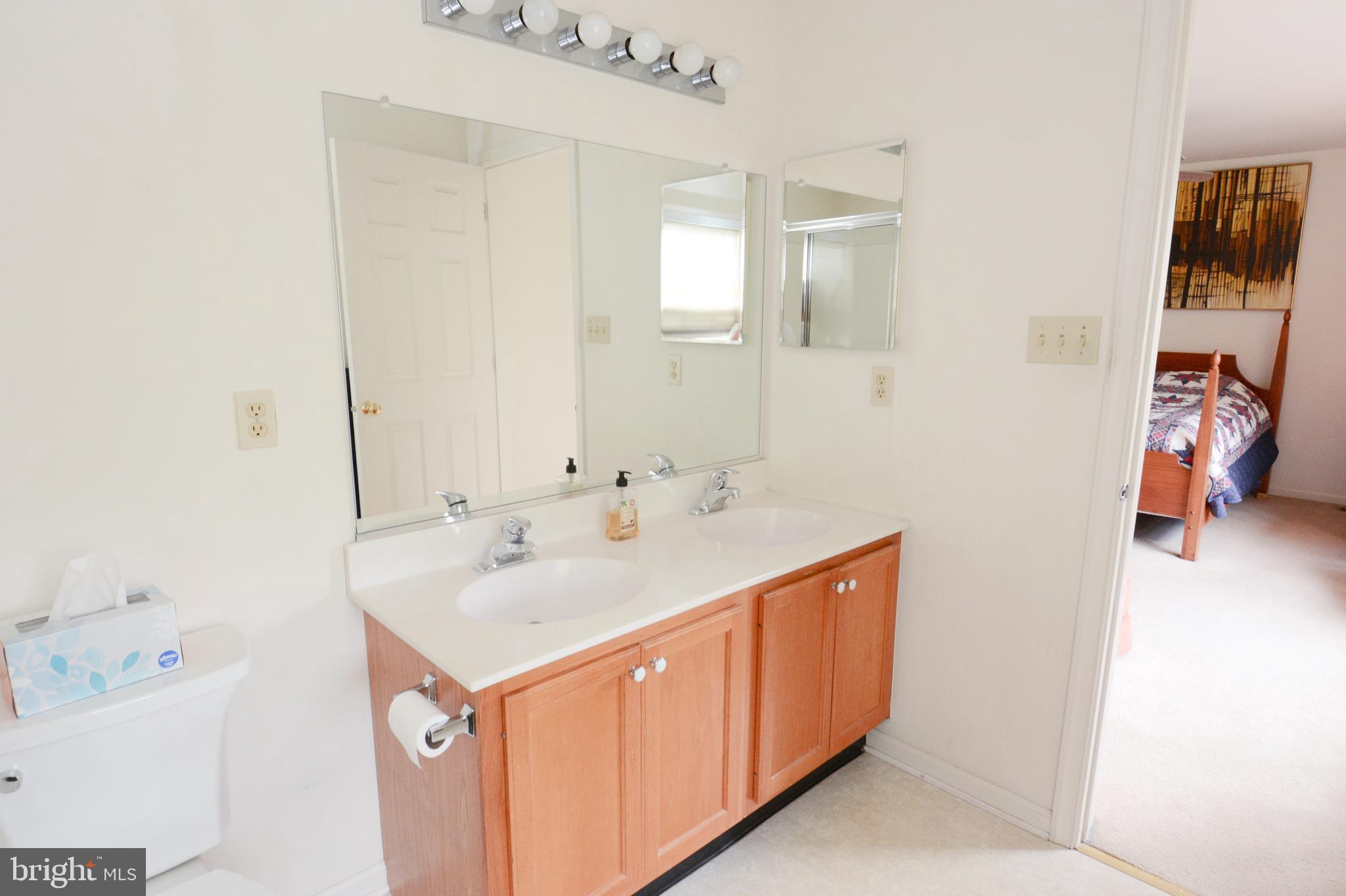 12 Hunters Lane Telford, PA 18969 - Photo 55 of 55 Dual Vanity