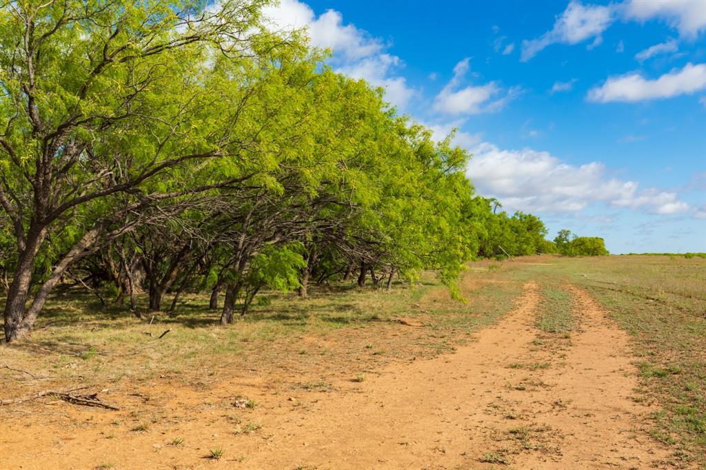 600 Fm 600 Haskell, TX 79521 - Photo 10 of 34