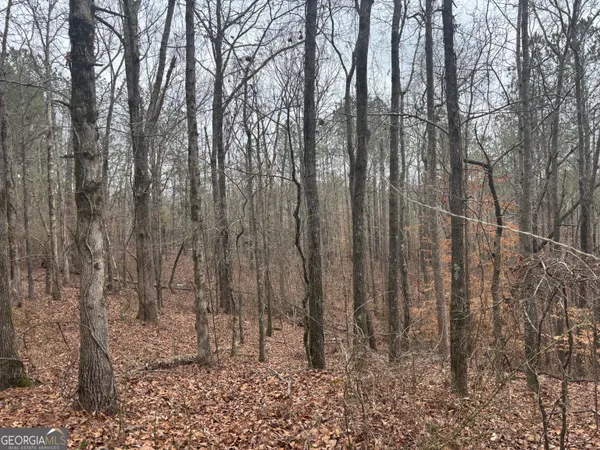 a view of a yard with large trees
