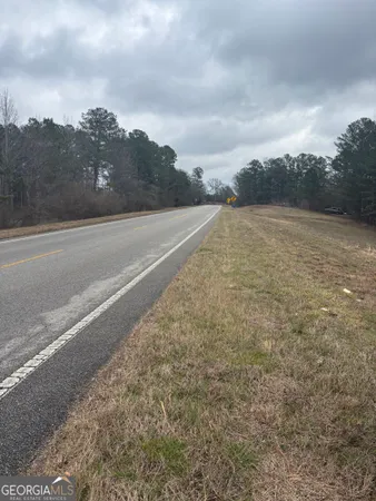 a view of a dry yard