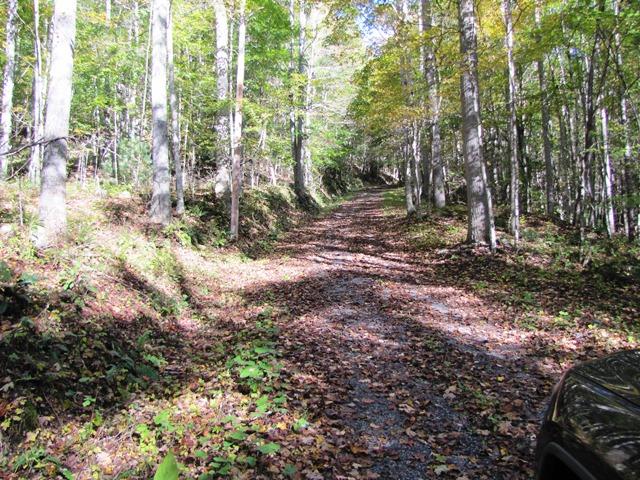 Laurel Creek Road Wayside, WV 24985 - Photo 22 of 28 Gallery Image 22