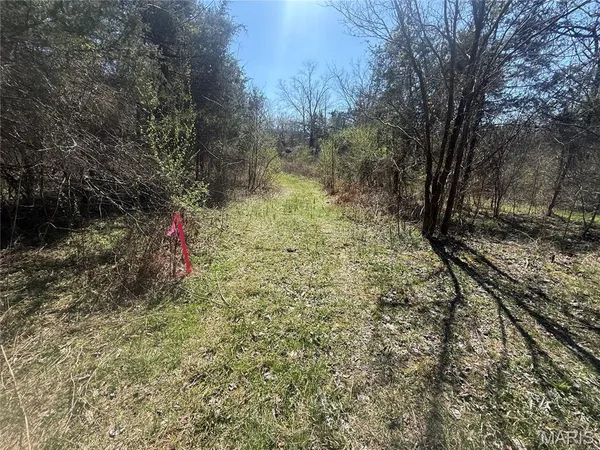 $38,000 | 210 Madison, Fredericktown, MO 63645