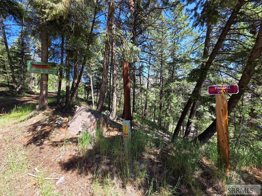 21 Pinetree Drive Salmon, ID 83467 - Photo 60 of 71