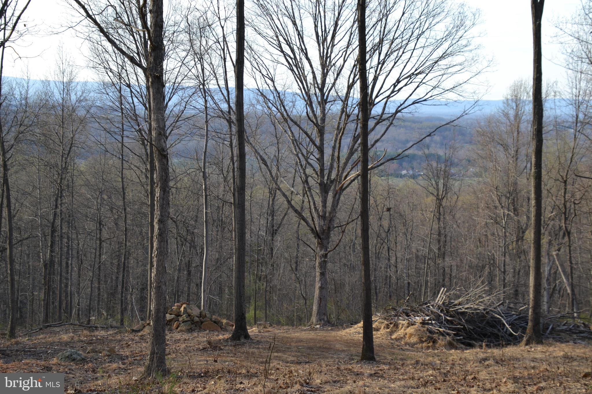 Bust Head Road The Plains, VA 20198 - Photo 1 of 59 Gallery Image 1