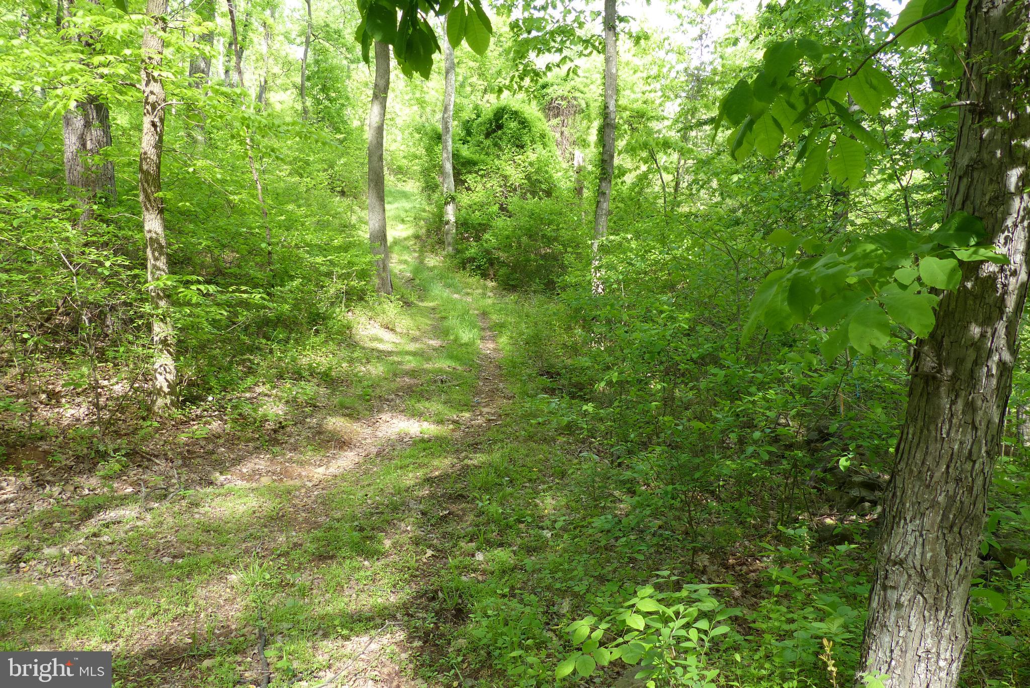 Bust Head Road The Plains, VA 20198 - Photo 19 of 59 Gallery Image 19