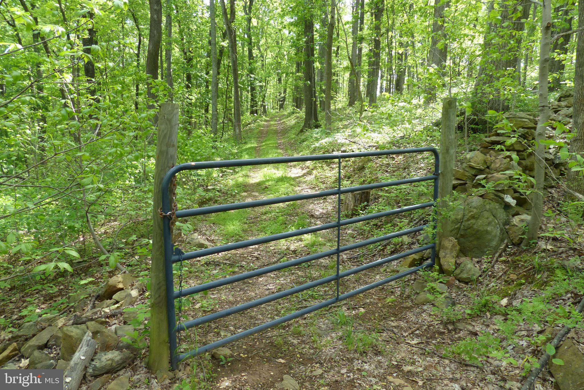 Bust Head Road The Plains, VA 20198 - Photo 20 of 59 Gallery Image 20