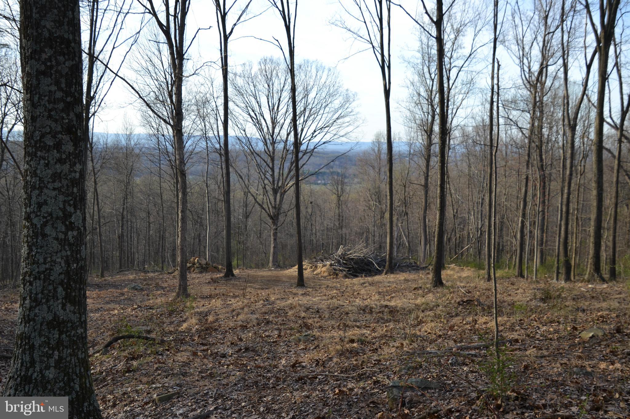 Bust Head Road The Plains, VA 20198 - Photo 3 of 59 Gallery Image 3