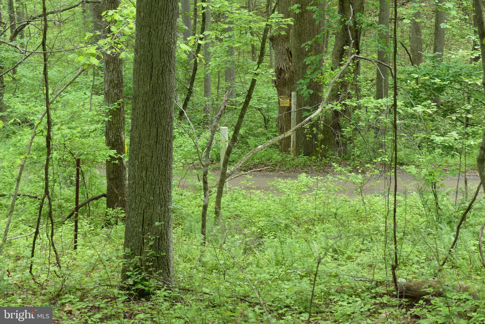 Bust Head Road The Plains, VA 20198 - Photo 27 of 59 Gallery Image 27