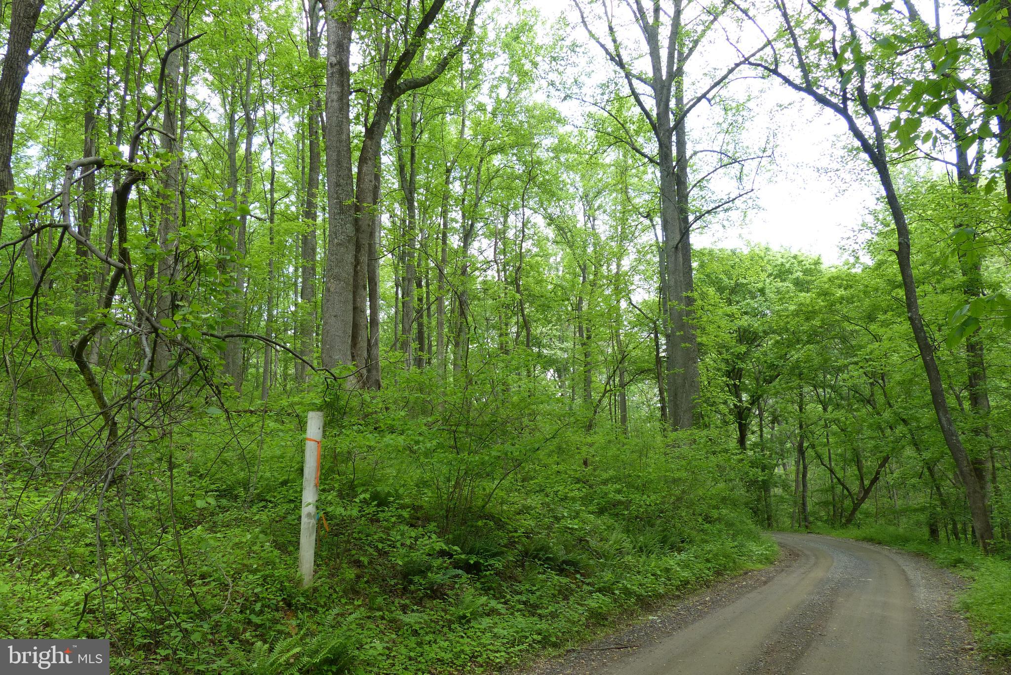 Bust Head Road The Plains, VA 20198 - Photo 28 of 59 Gallery Image 28