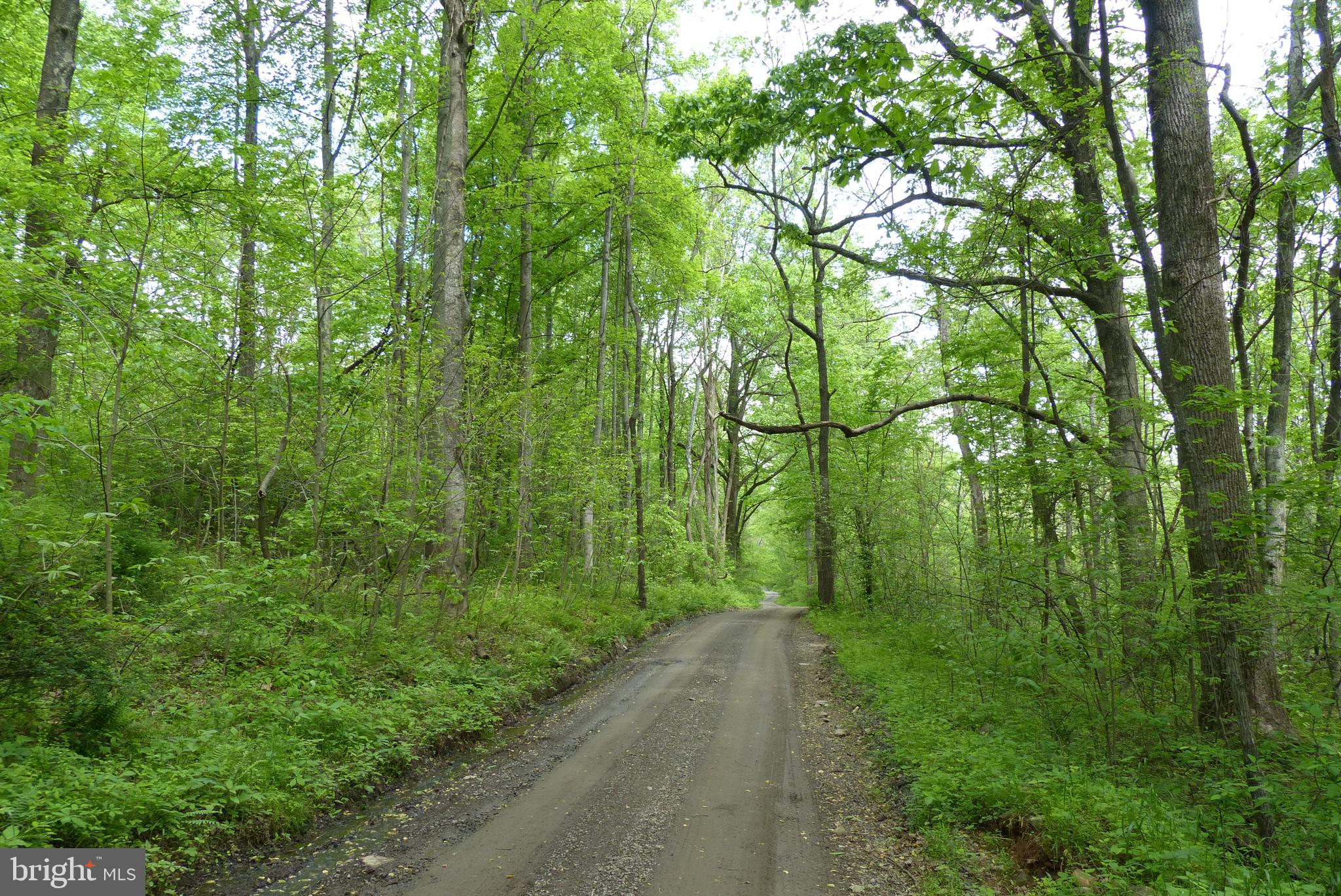 Bust Head Road The Plains, VA 20198 - Photo 29 of 59 Gallery Image 29
