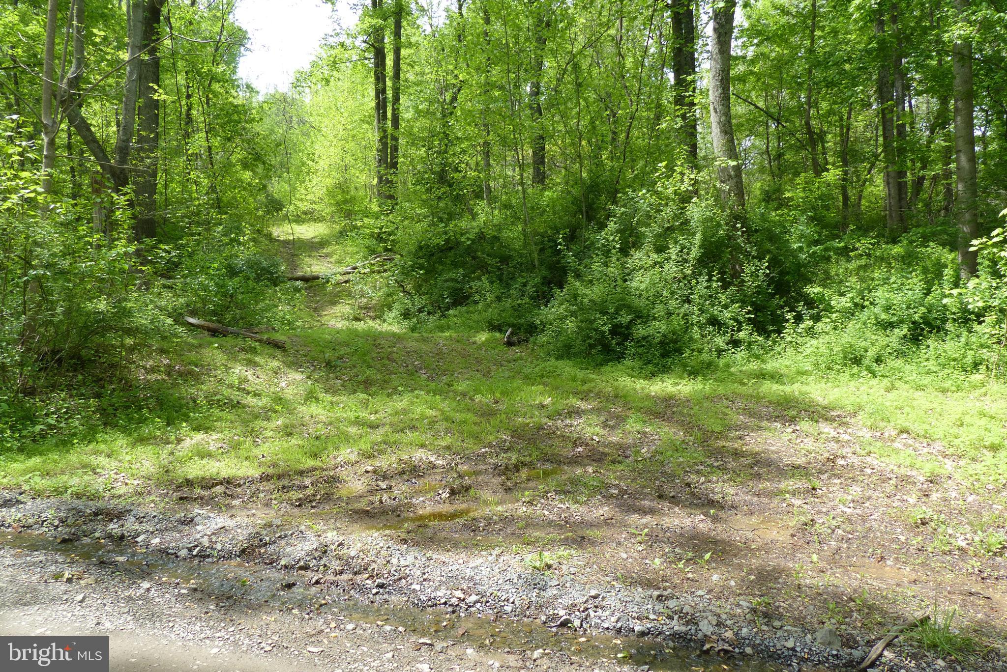 Bust Head Road The Plains, VA 20198 - Photo 30 of 59 Gallery Image 30