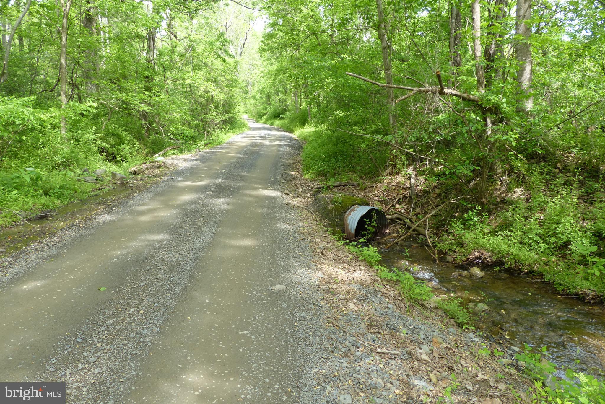 Bust Head Road The Plains, VA 20198 - Photo 31 of 59 Gallery Image 31