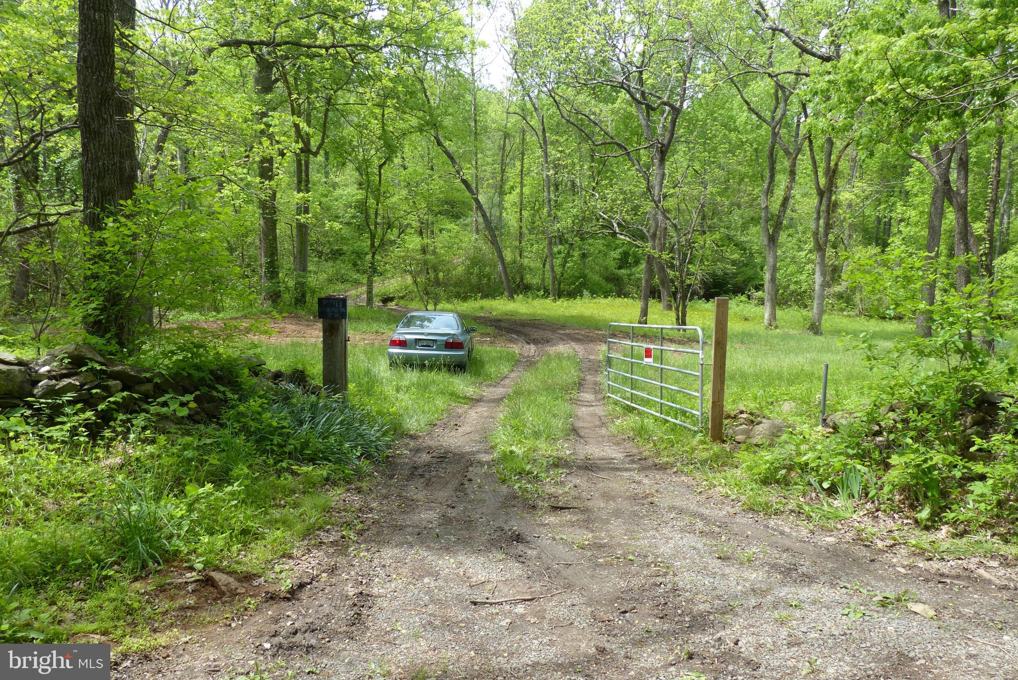 Bust Head Road The Plains, VA 20198 - Photo 33 of 59 Gallery Image 33