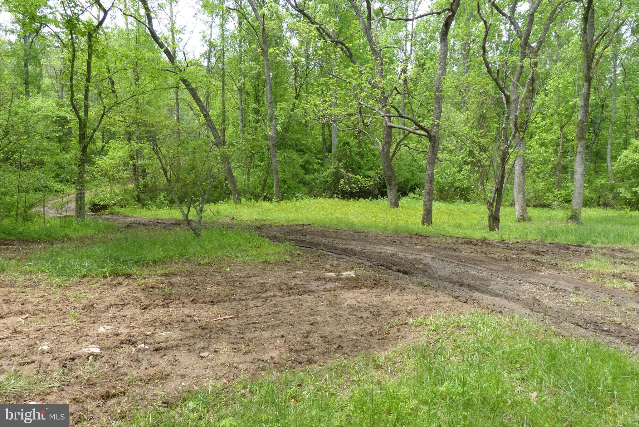 Bust Head Road The Plains, VA 20198 - Photo 34 of 59 Gallery Image 34
