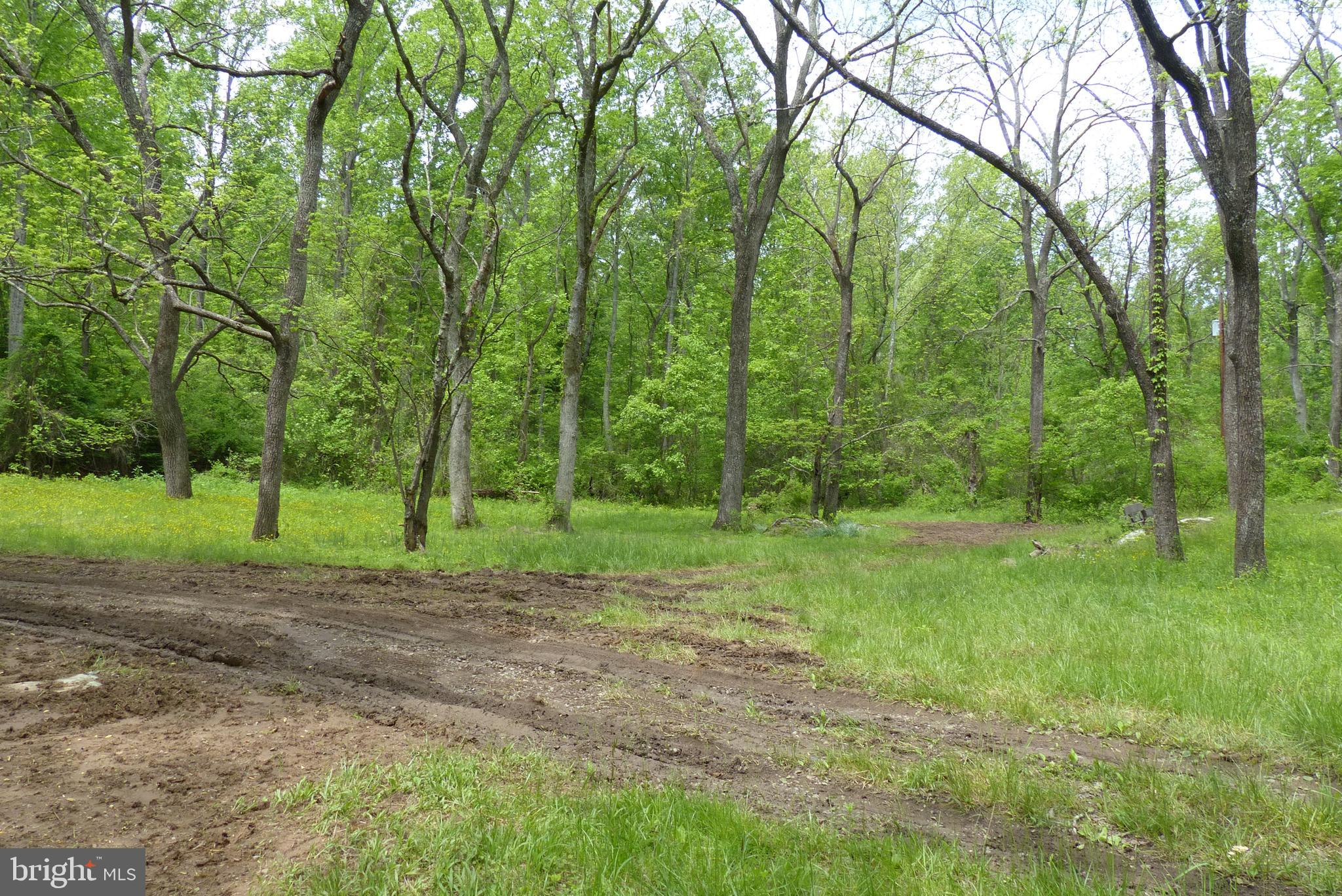 Bust Head Road The Plains, VA 20198 - Photo 35 of 59 Gallery Image 35