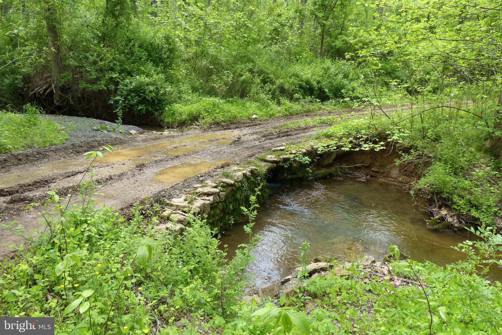 Bust Head Road The Plains, VA 20198 - Photo 36 of 59 Gallery Image 36