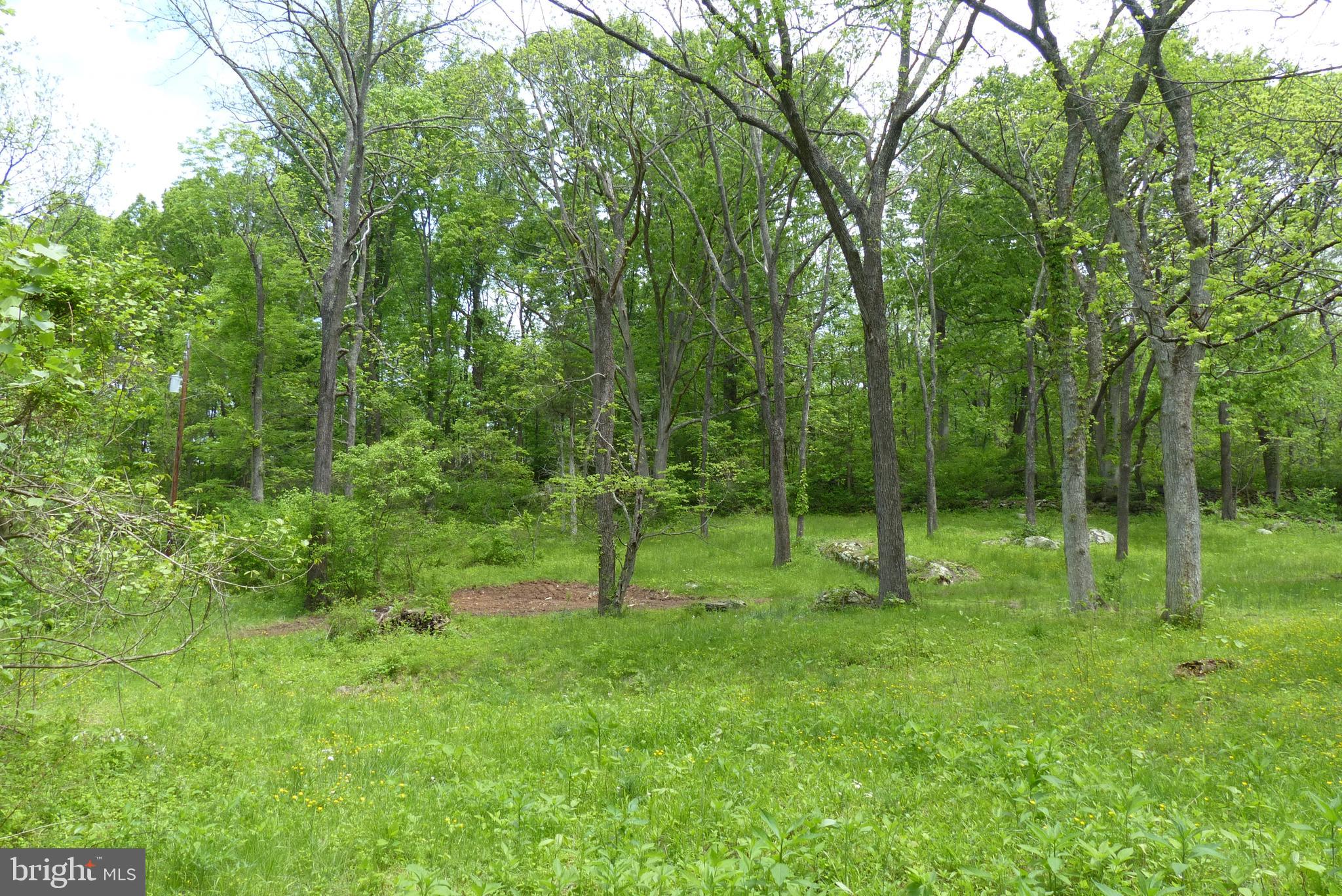 Bust Head Road The Plains, VA 20198 - Photo 37 of 59 Gallery Image 37