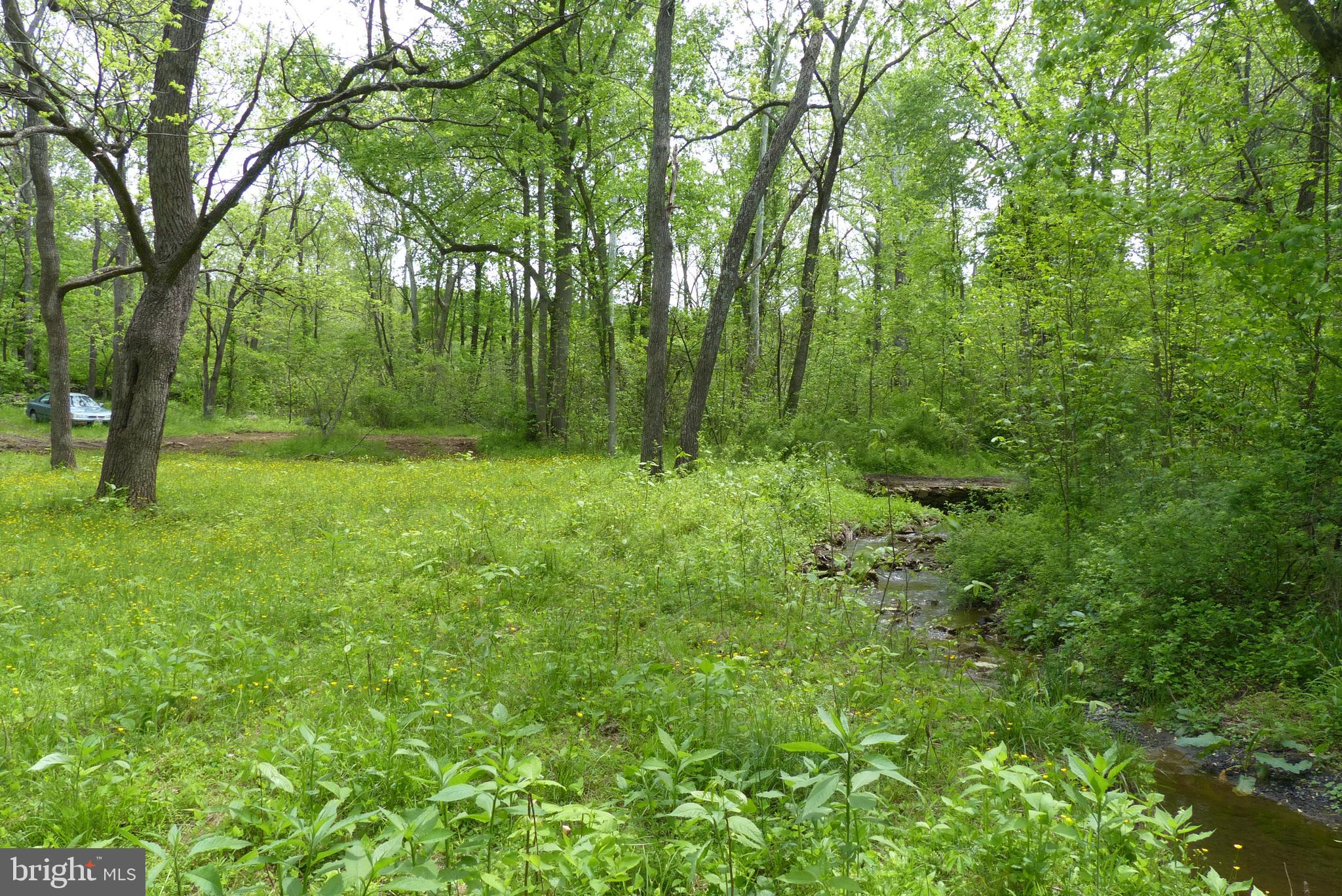 Bust Head Road The Plains, VA 20198 - Photo 38 of 59 Gallery Image 38