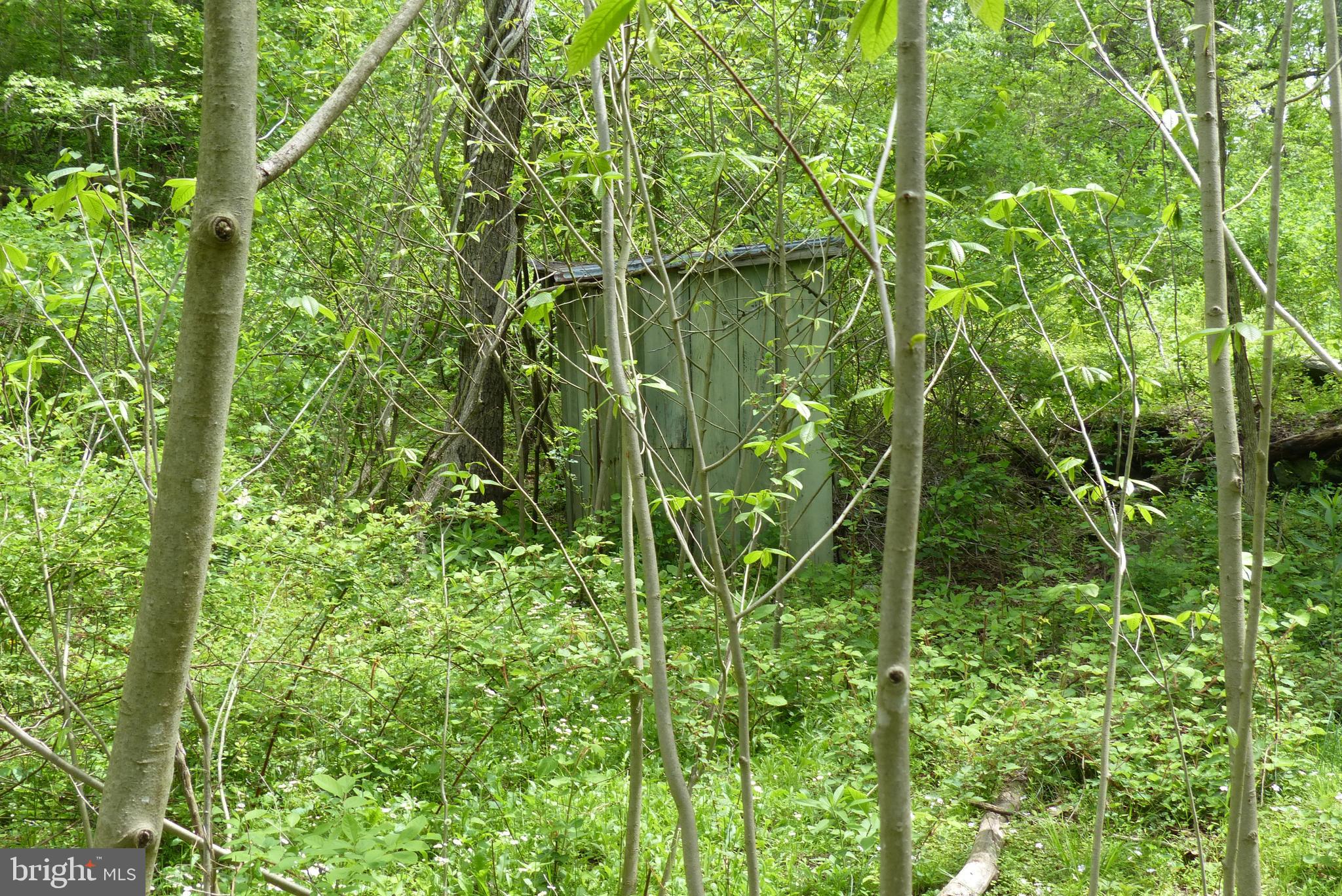 Bust Head Road The Plains, VA 20198 - Photo 41 of 59 Gallery Image 41