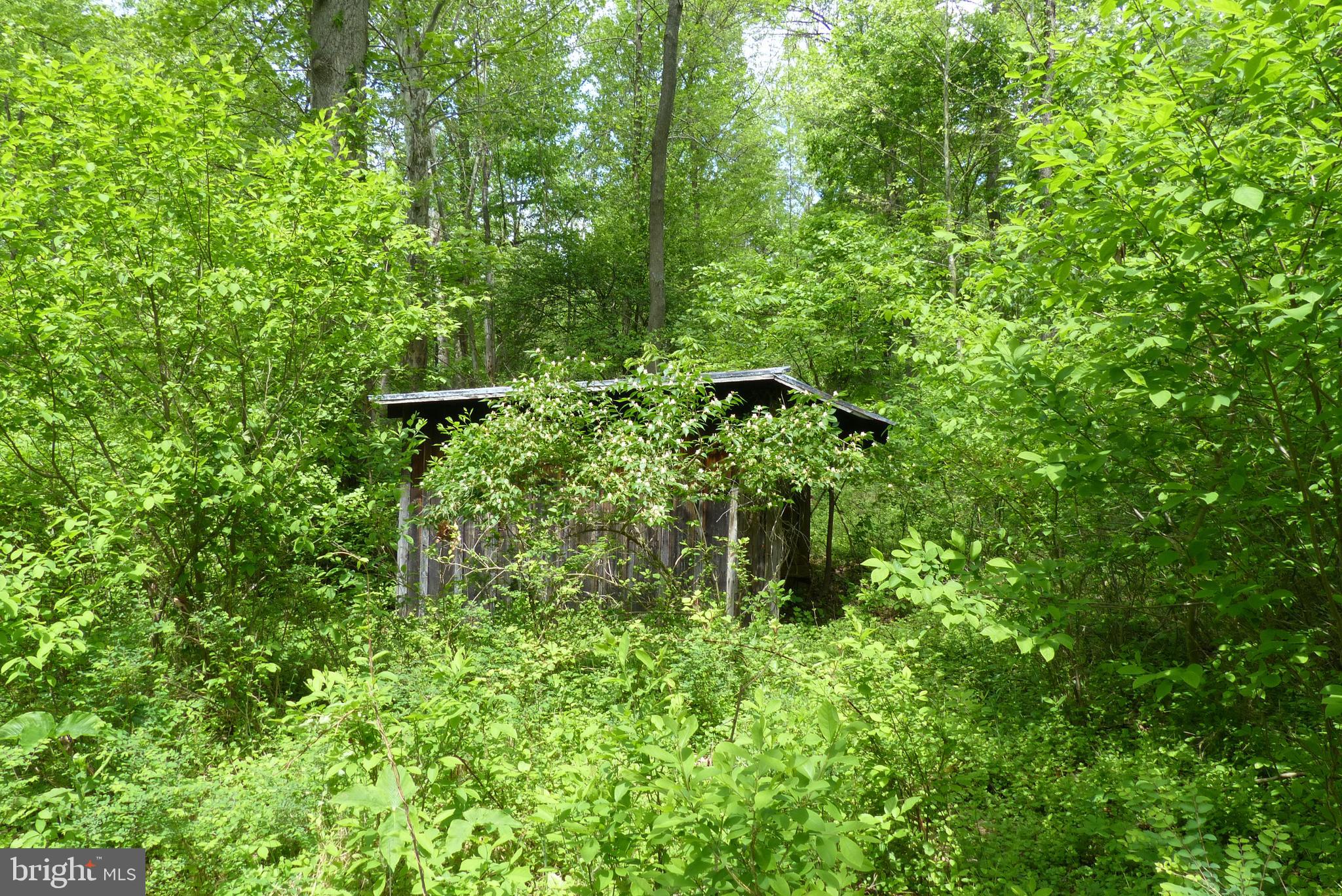 Bust Head Road The Plains, VA 20198 - Photo 42 of 59 Gallery Image 42
