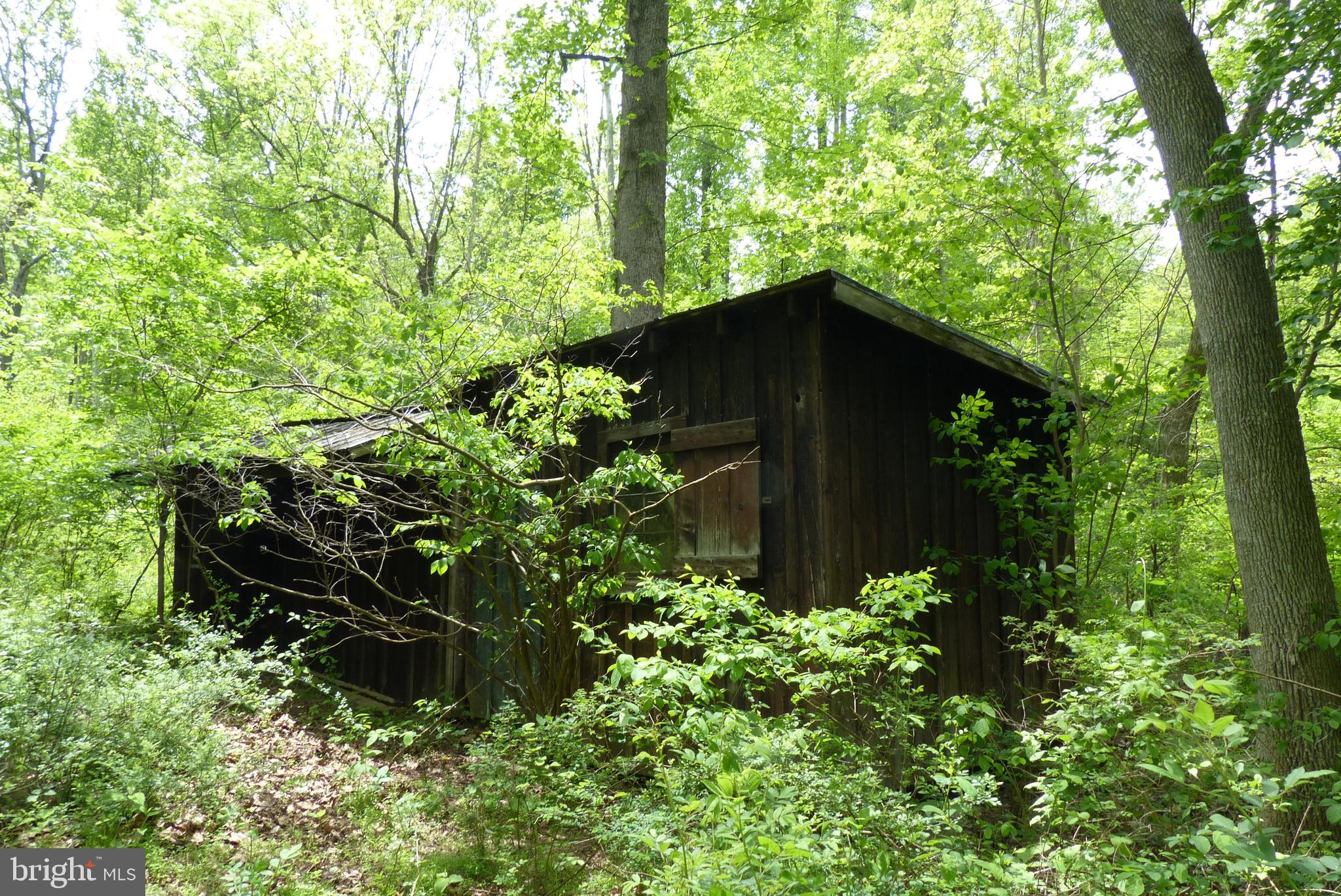 Bust Head Road The Plains, VA 20198 - Photo 44 of 59 Gallery Image 44