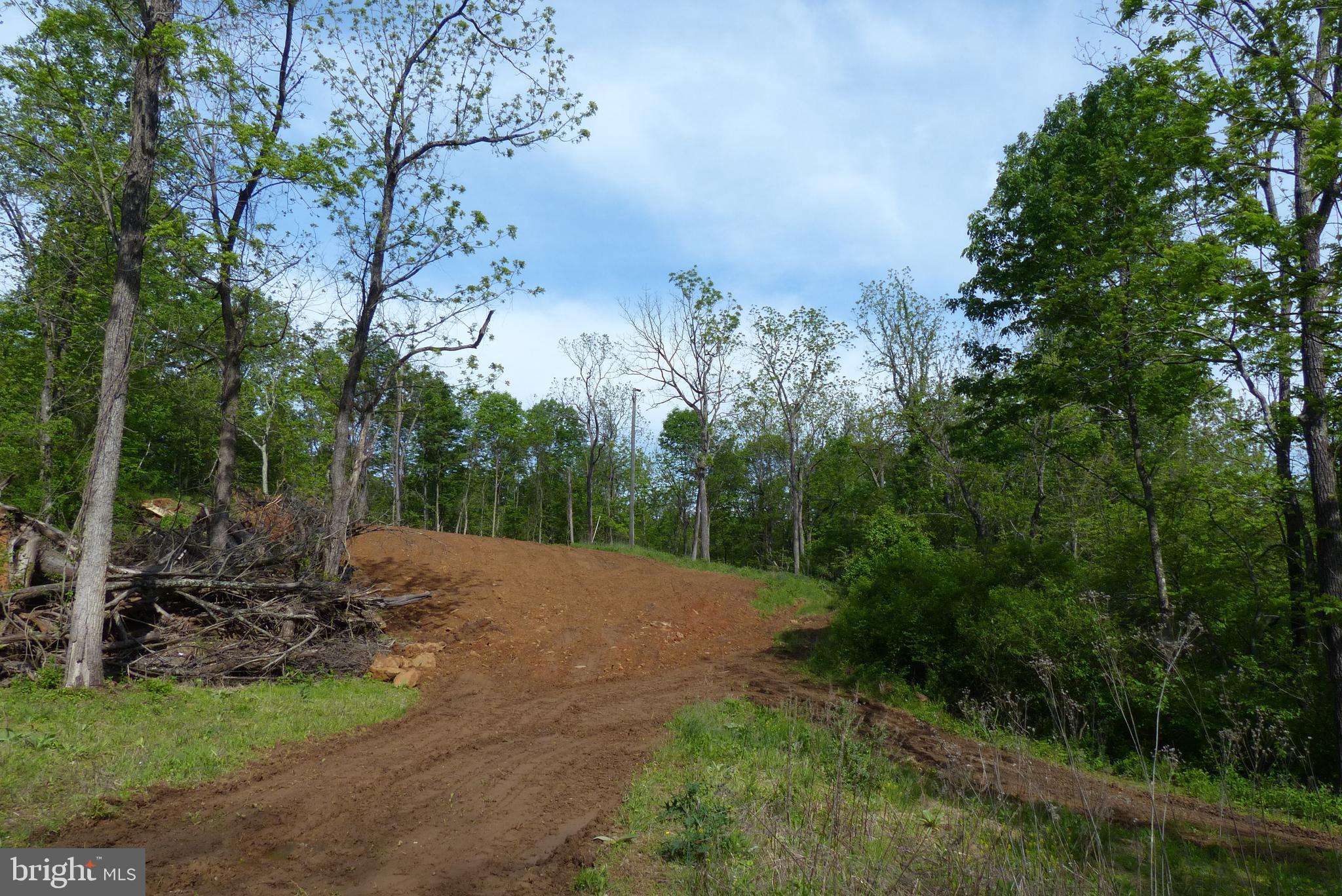 Bust Head Road The Plains, VA 20198 - Photo 46 of 59 Gallery Image 46