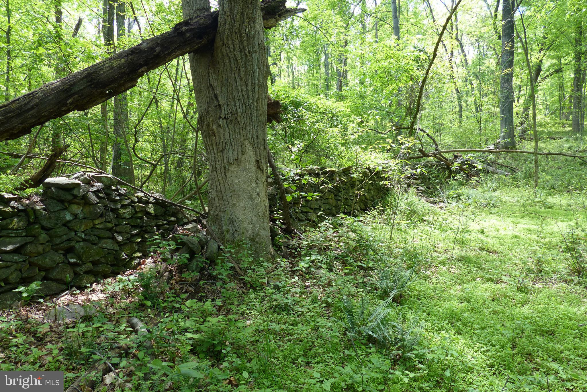 Bust Head Road The Plains, VA 20198 - Photo 47 of 59 Gallery Image 47