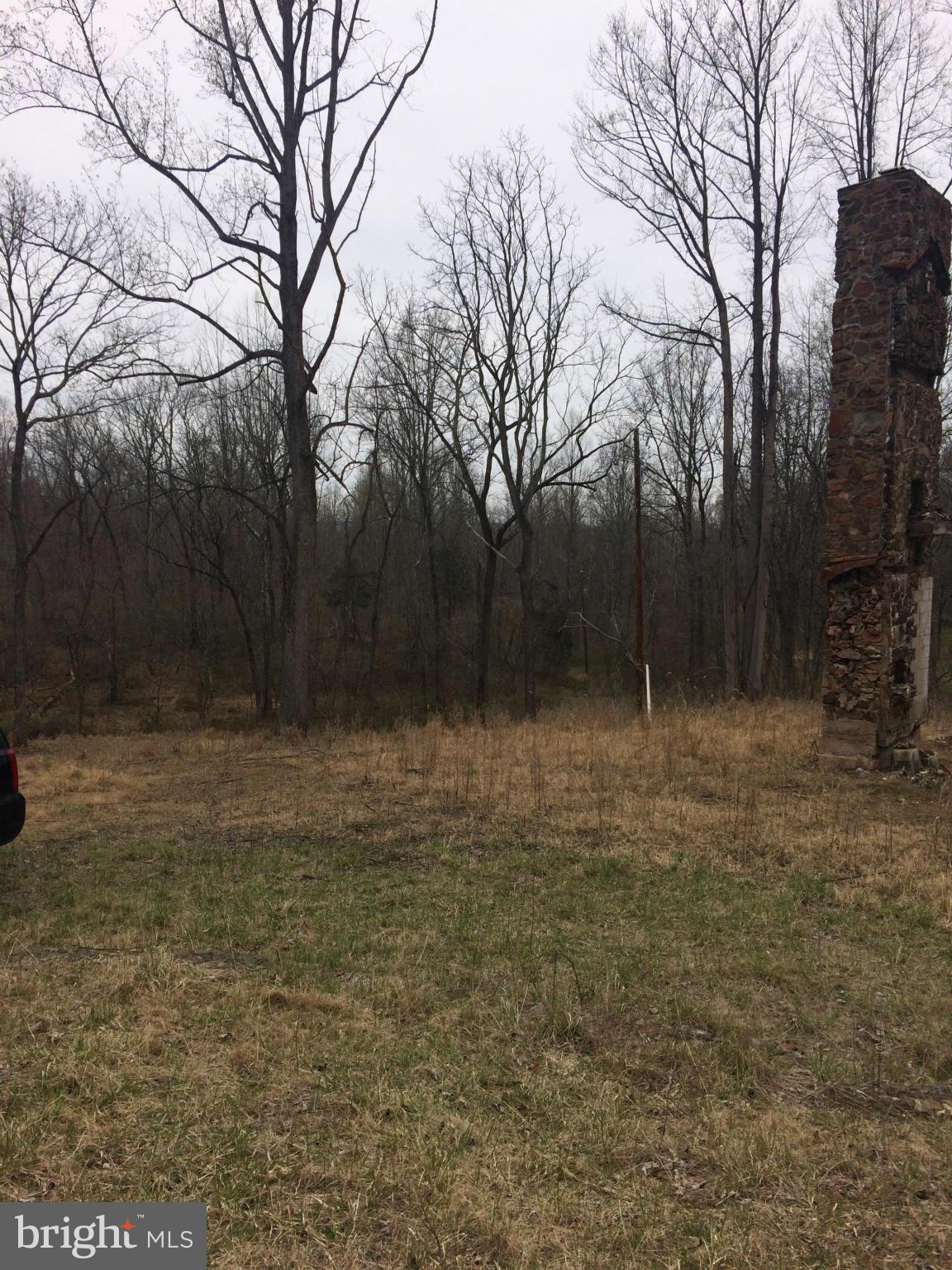 Bust Head Road The Plains, VA 20198 - Photo 53 of 59 View