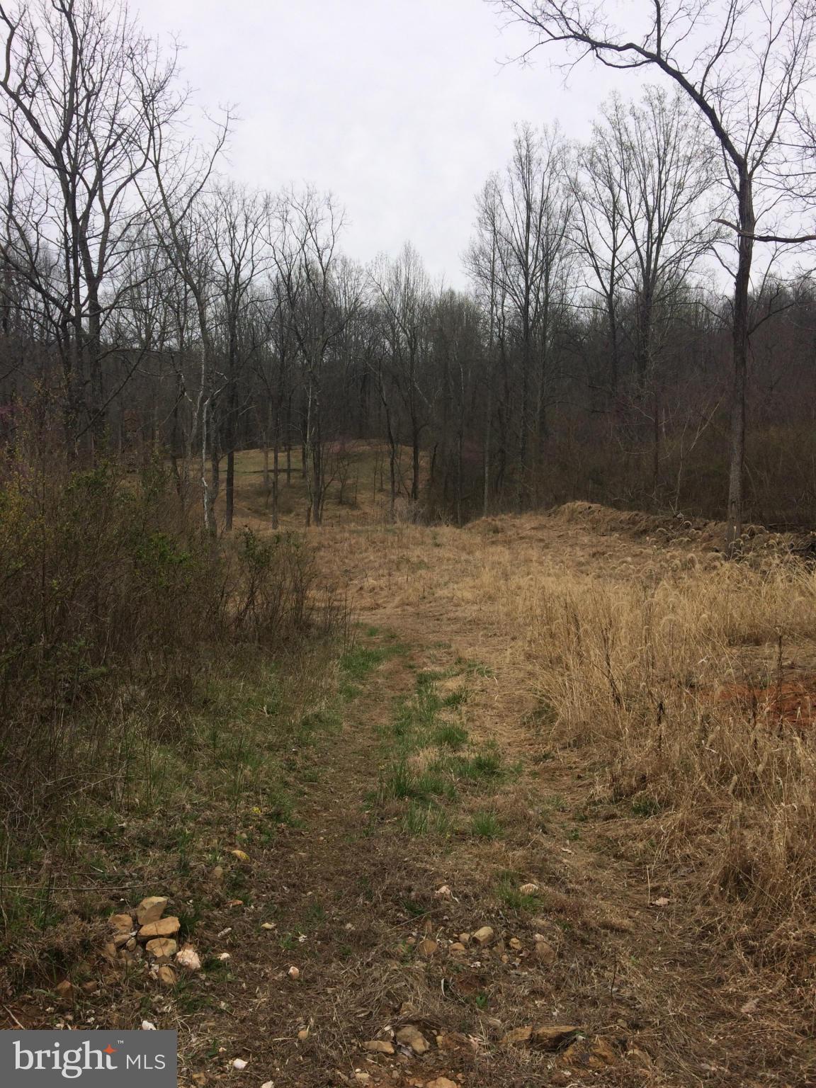 Bust Head Road The Plains, VA 20198 - Photo 54 of 59 View