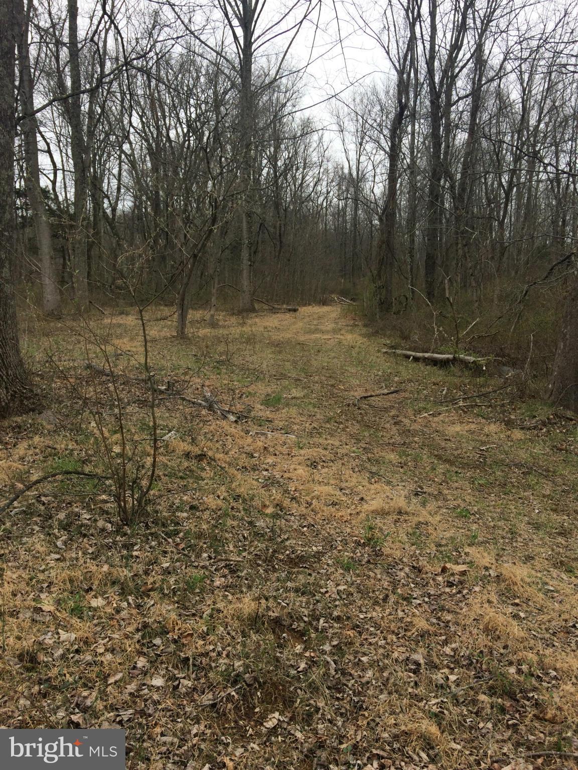 Bust Head Road The Plains, VA 20198 - Photo 56 of 59 View