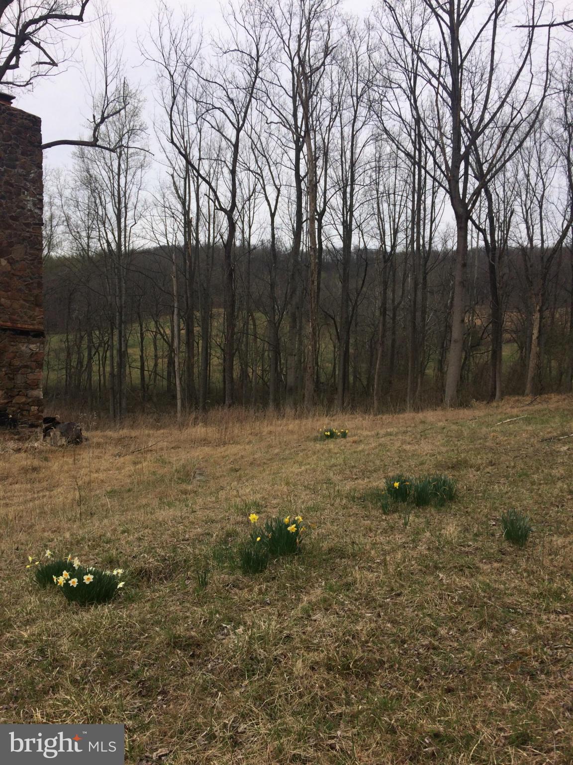 Bust Head Road The Plains, VA 20198 - Photo 58 of 59 View