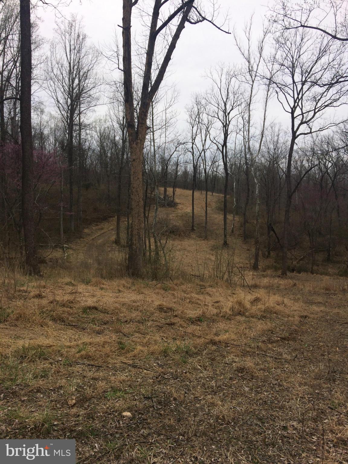 Bust Head Road The Plains, VA 20198 - Photo 59 of 59 View