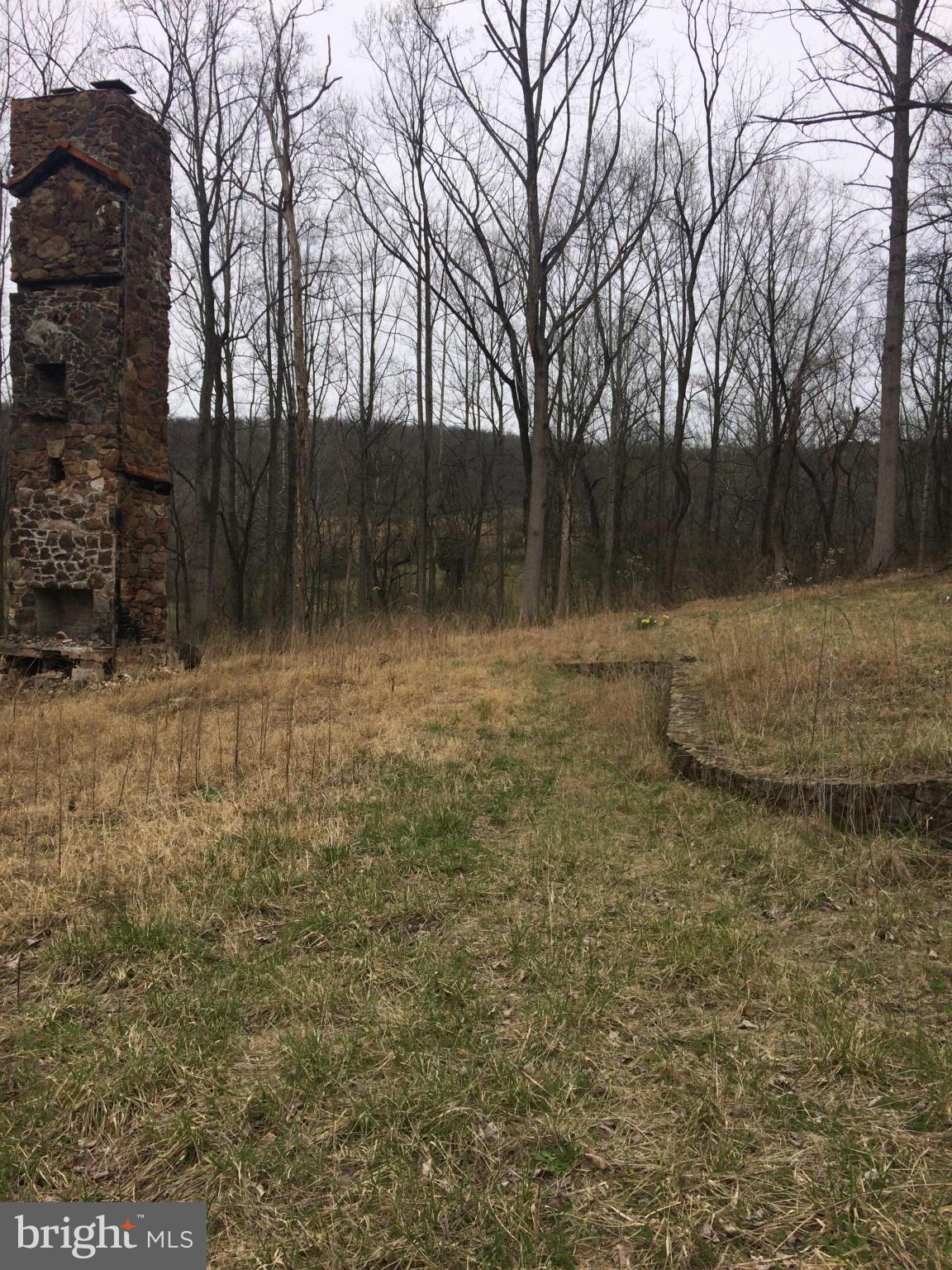 Bust Head Road The Plains, VA 20198 - Photo 7 of 59 View