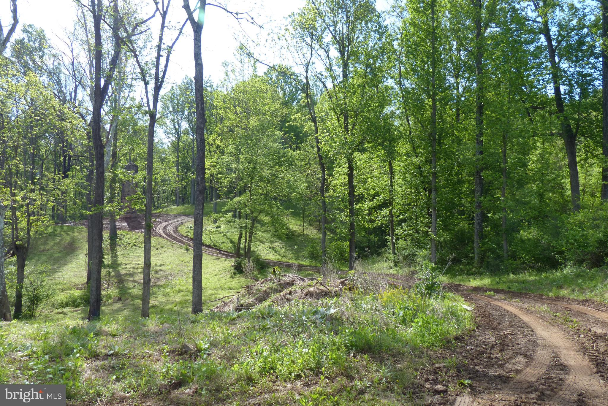 Bust Head Road The Plains, VA 20198 - Photo 8 of 59 Gallery Image 8