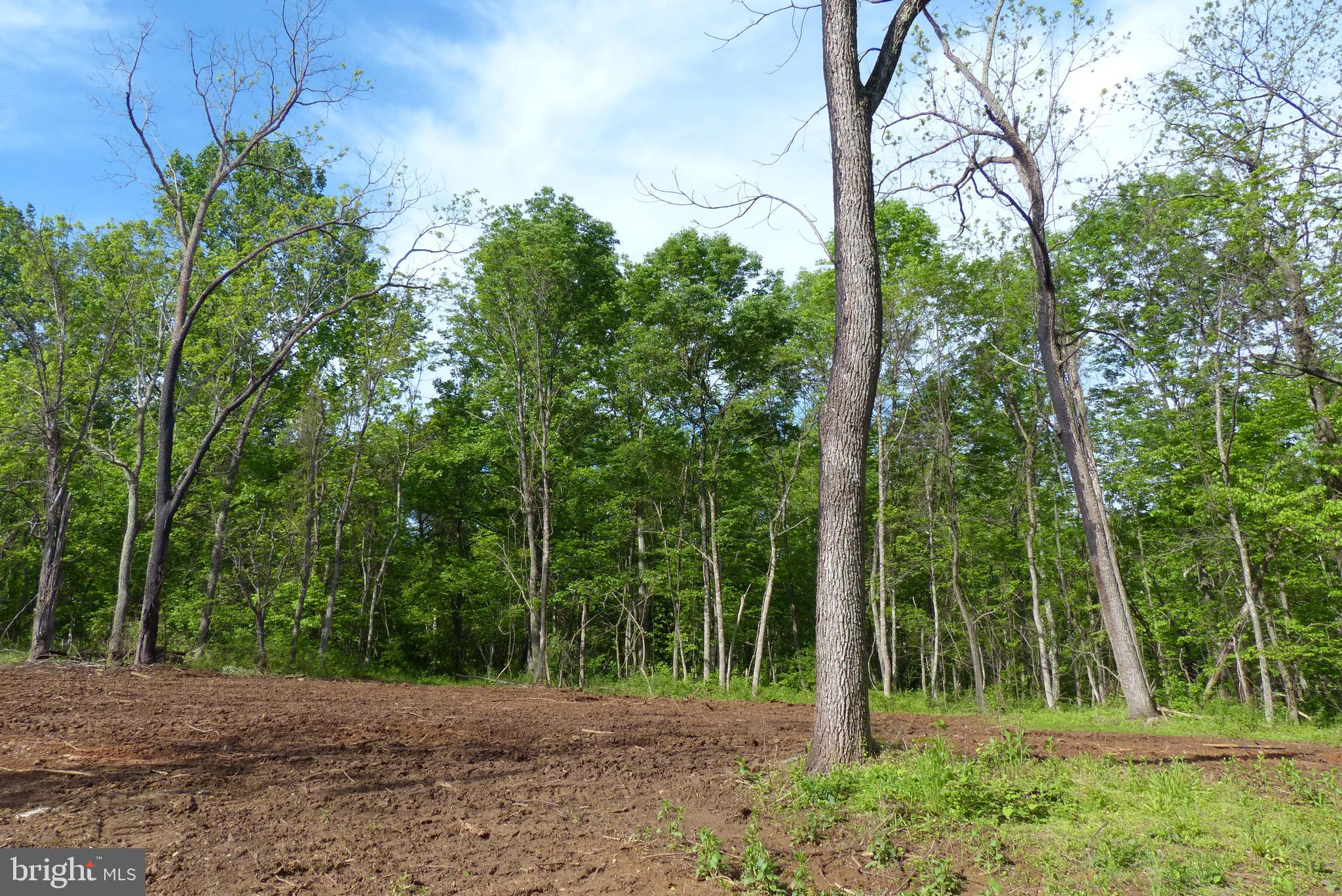 Bust Head Road The Plains, VA 20198 - Photo 10 of 59 Gallery Image 10