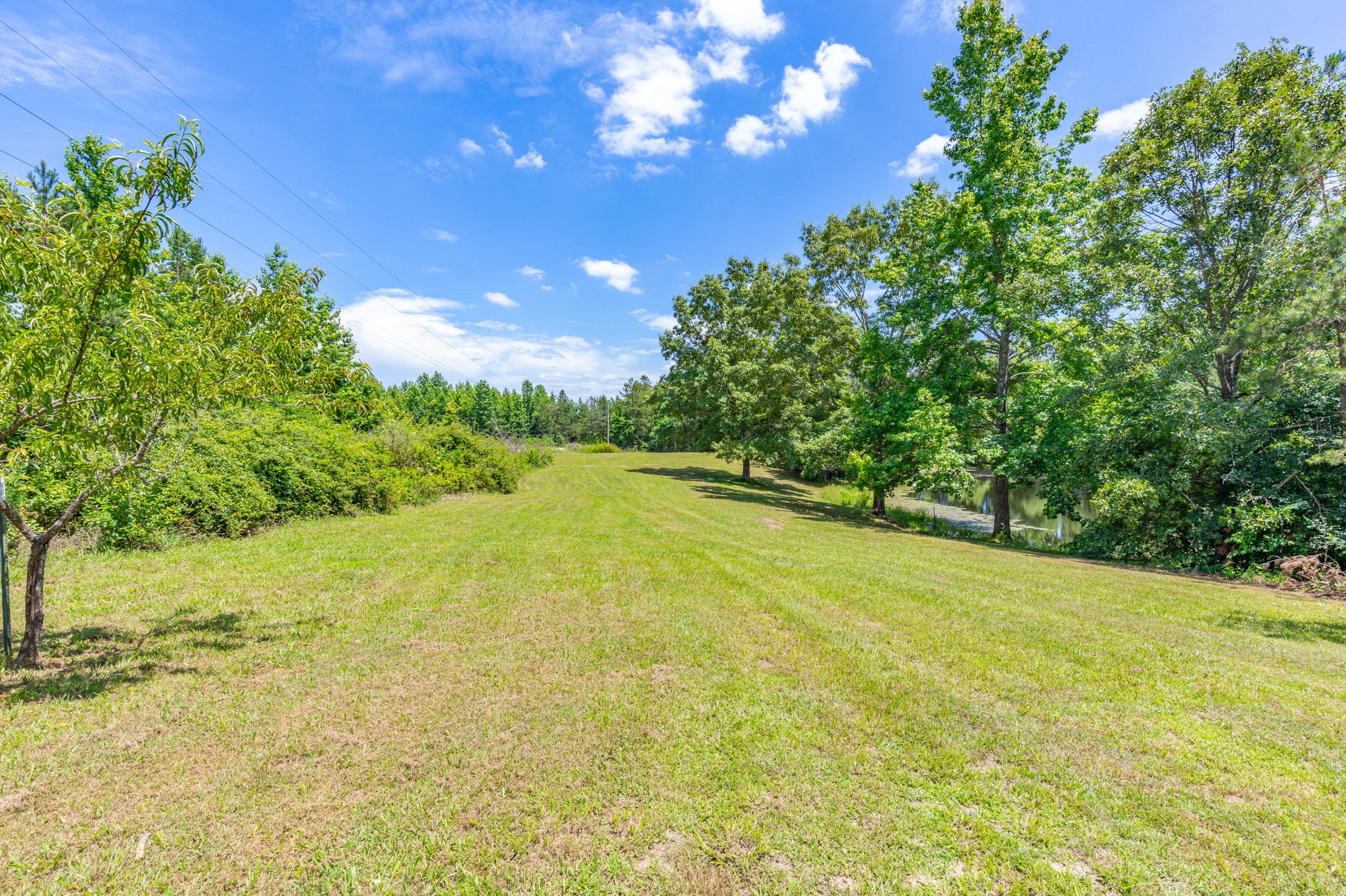 424 Charles McClearen Road Hohenwald, TN 38462 - Photo 39 of 80