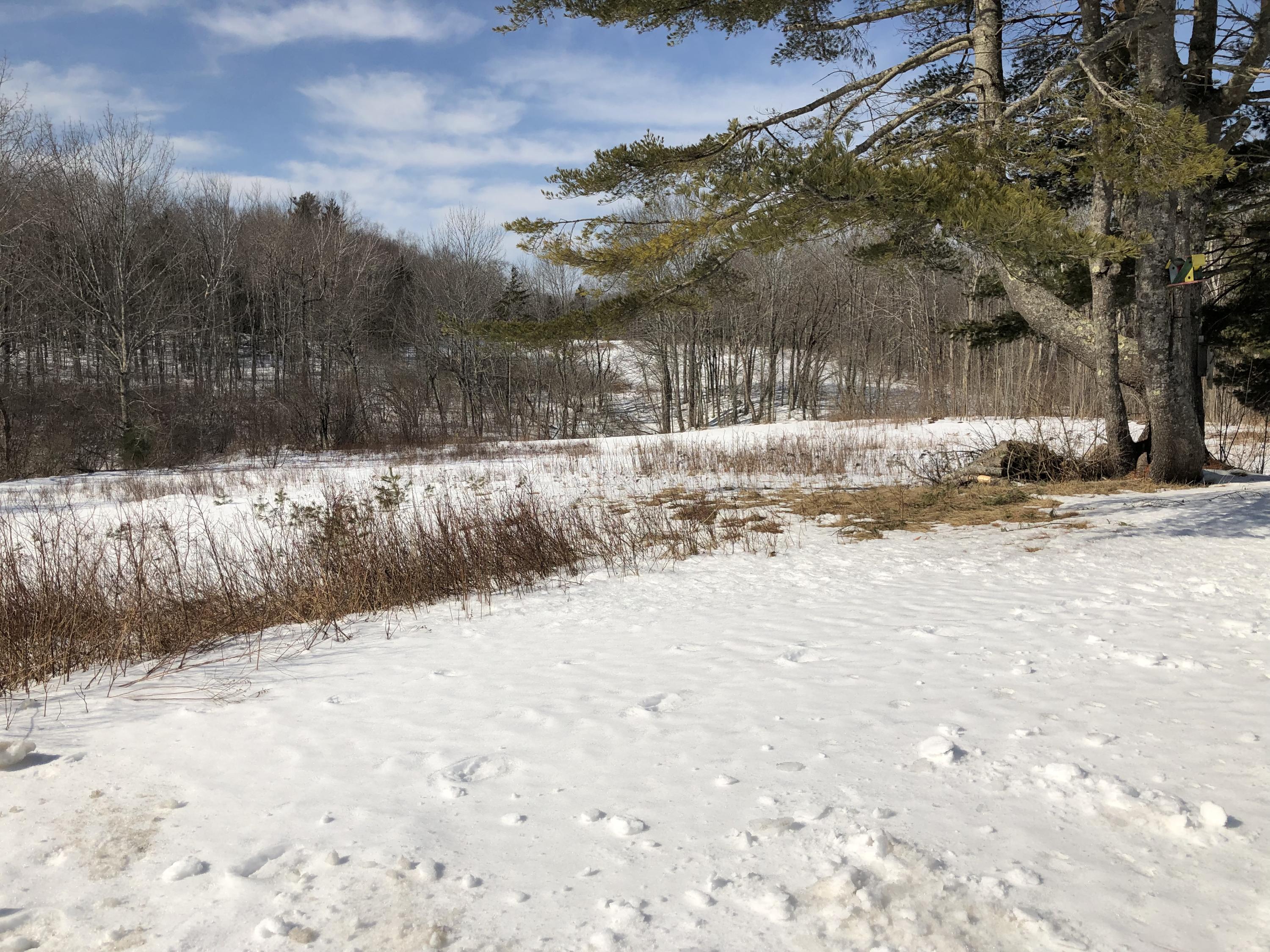 1174 River Road St. George, ME 04860 - Photo 33 of 33 A98D383C-50F7-426A-8760-18B6A08FB16F