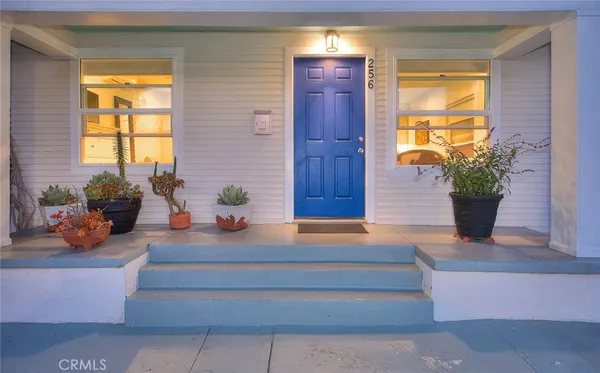 a potted plant sitting in front of a house