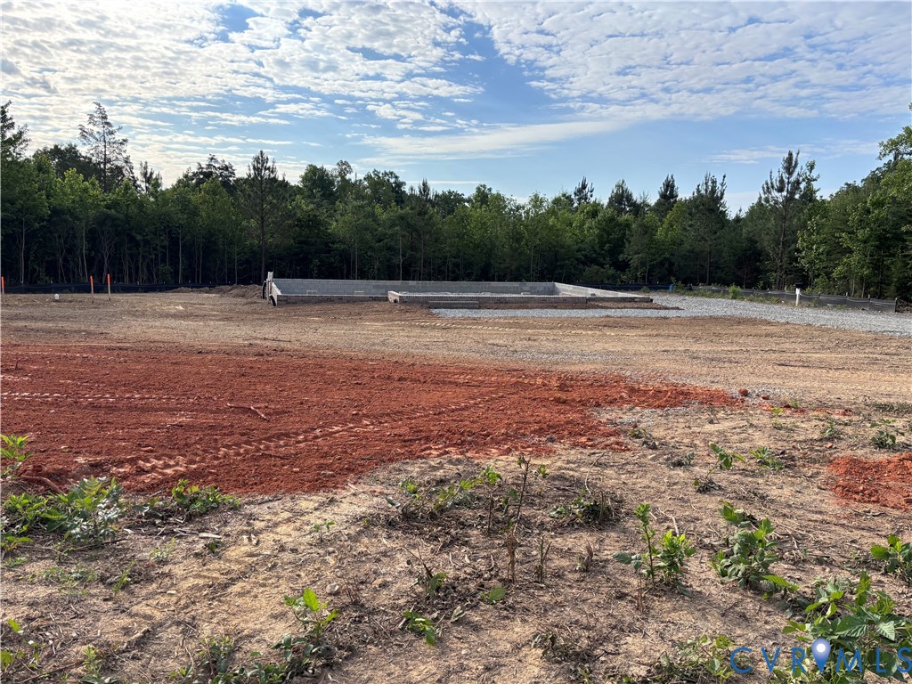 Tbd Deuprees Store Road Drakes Branch, VA 23937 - Photo 2 of 12