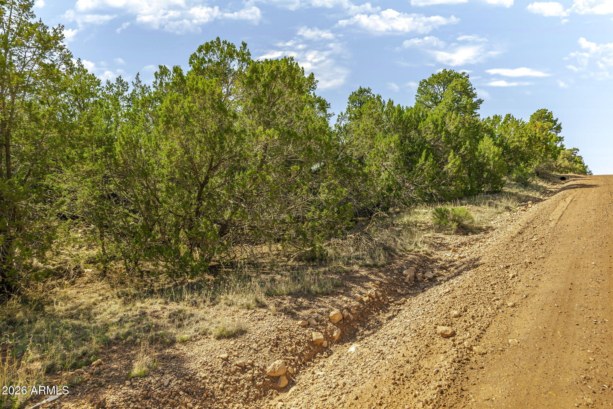 3512 Pine Rim Drive, Unit 237 Overgaard, AZ 85933 - Photo 10 of 21