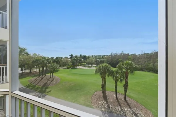 a view of a garden from a window