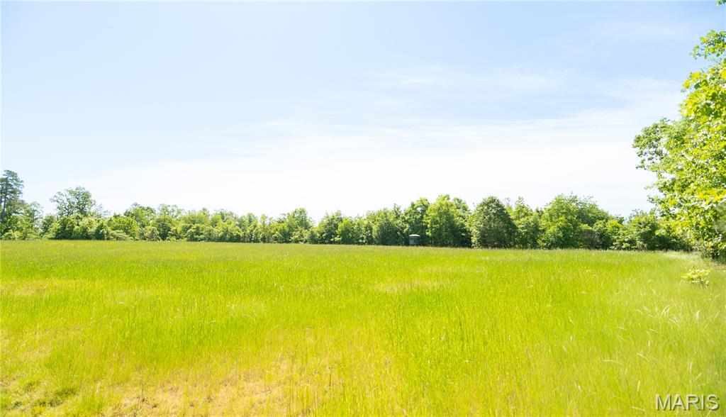 1743 Ripley Route North Doniphan, MO 63935 - Photo 40 of 97