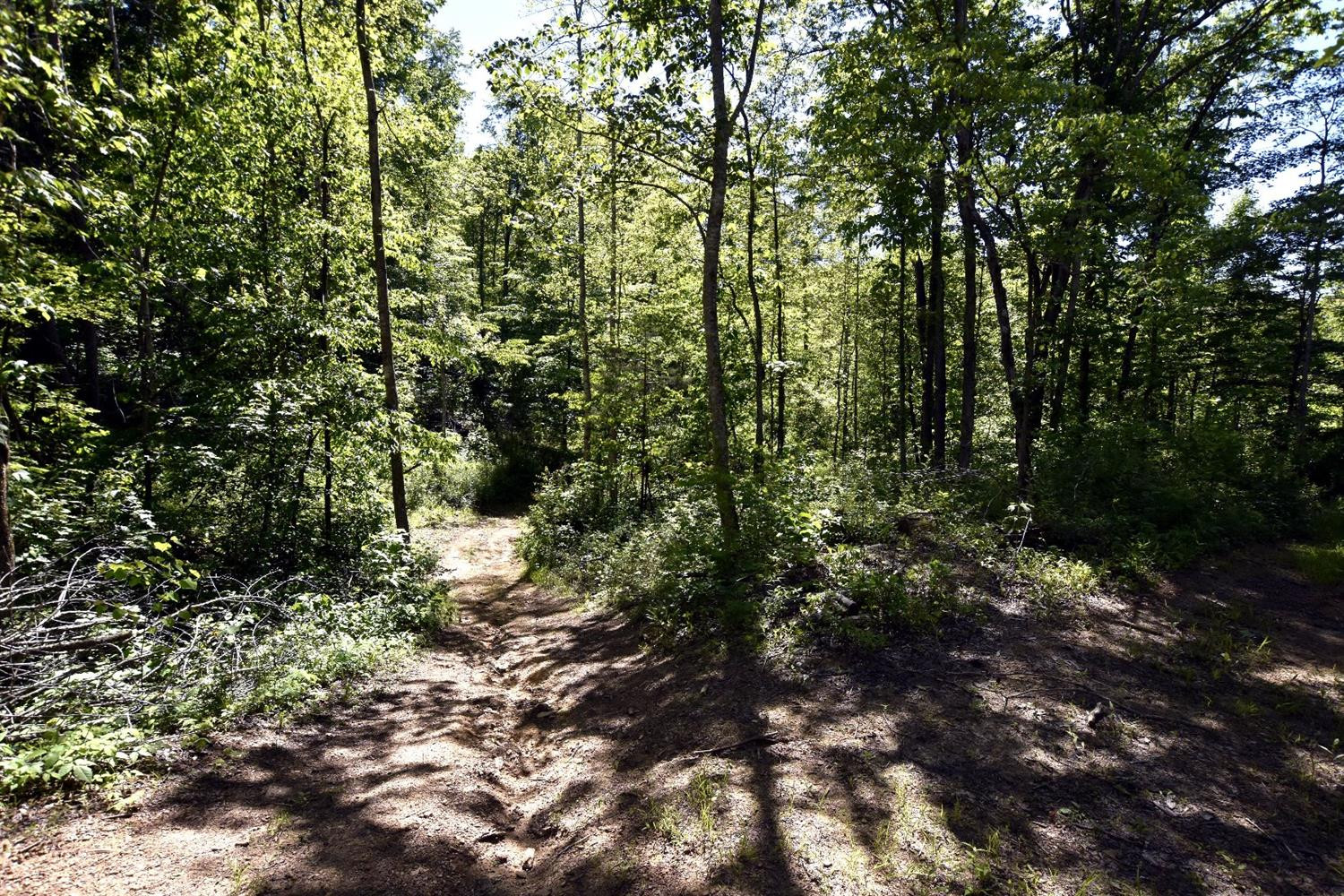 1 Macedonia Road Irvine, KY 40336 - Photo 9 of 10 Perfect for a 4 wheeler! Easy to navigat